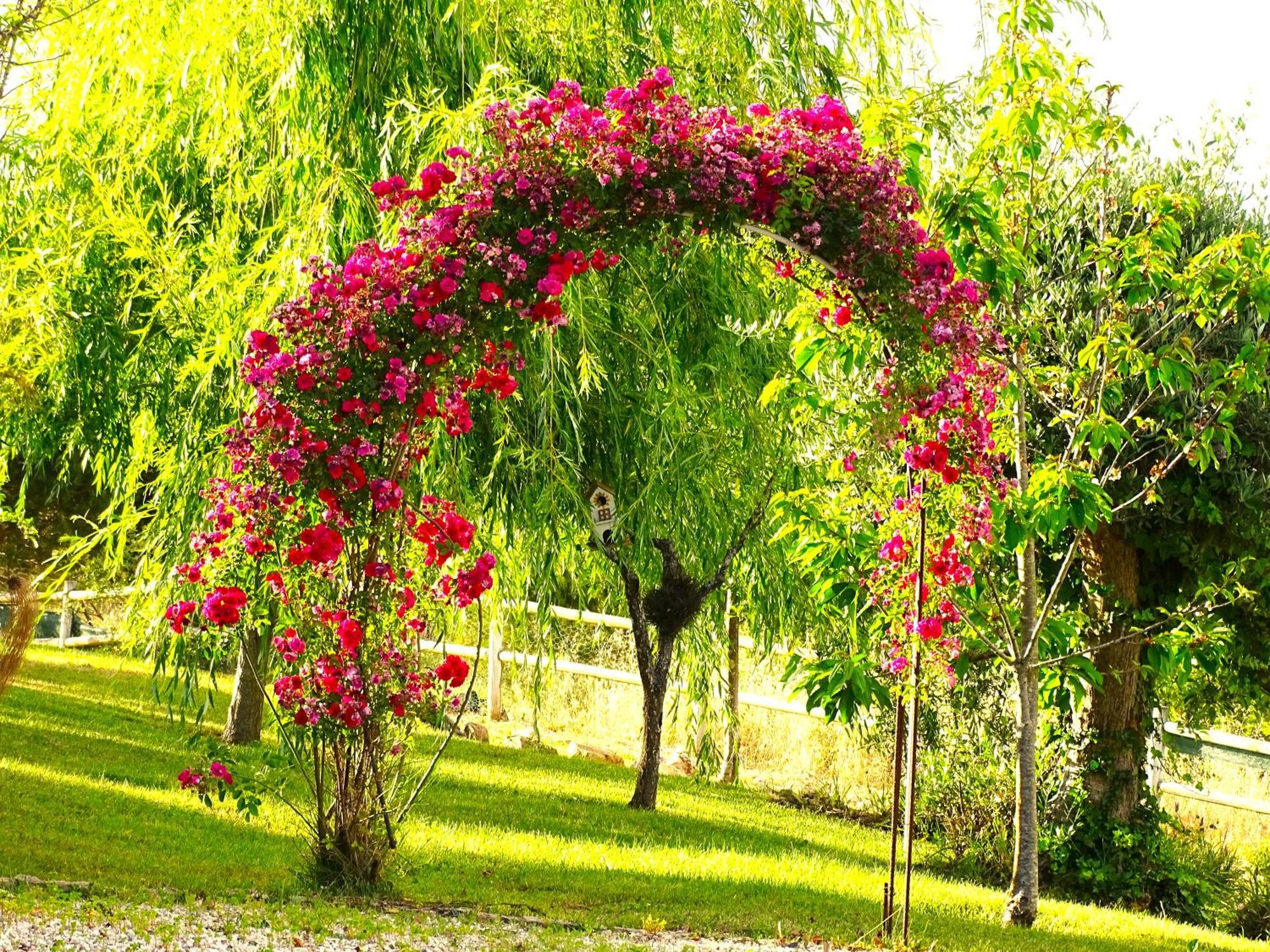 Monte Casaroes 2 By Stay In Alentejo Sao Luis Exterior photo